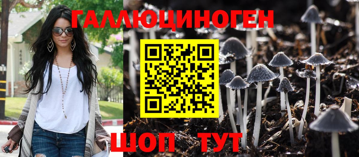 Галлюциногенные грибы ЛСД Рубцовск