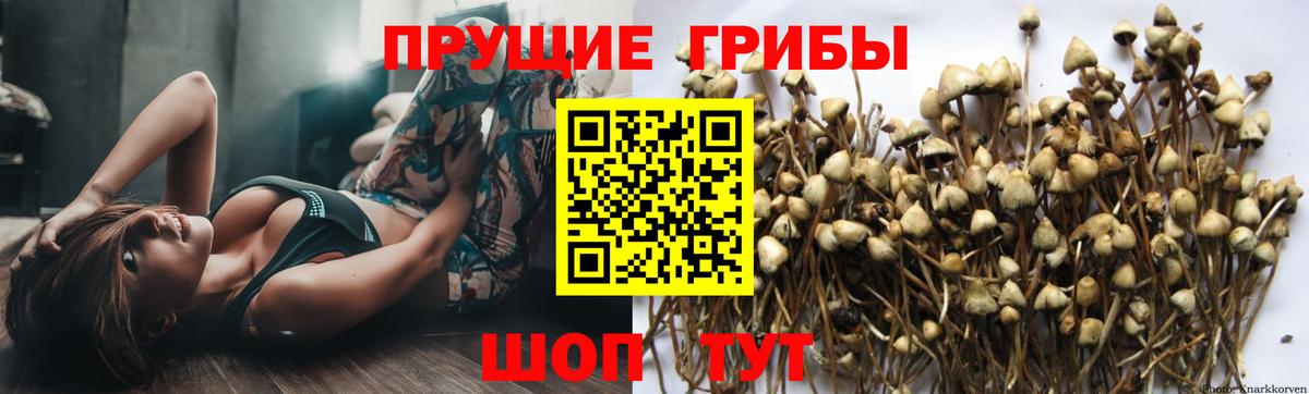 Псилоцибиновые грибы Magic Shrooms  Вход с VPN  Рубцовск 